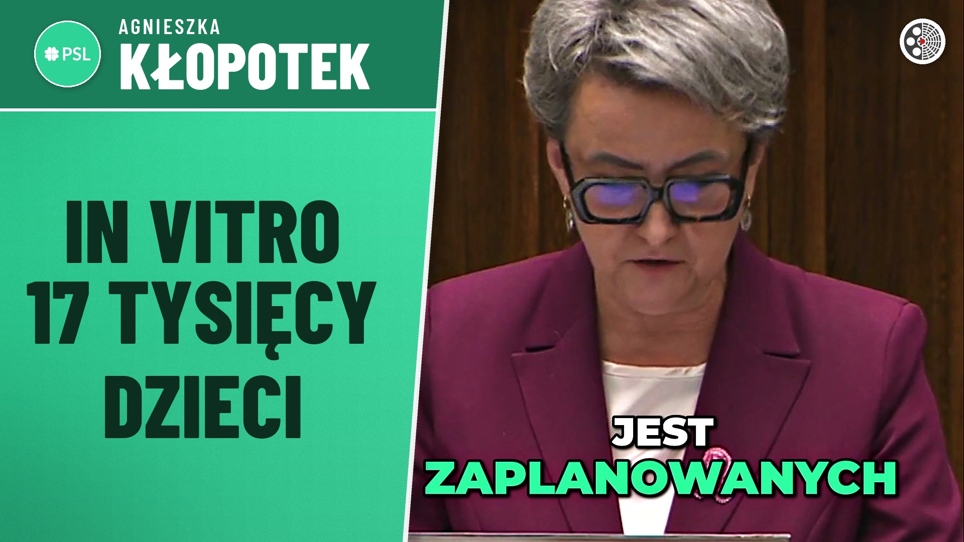 Agnieszka Kłopotek: 600 mln zł na program in vitro