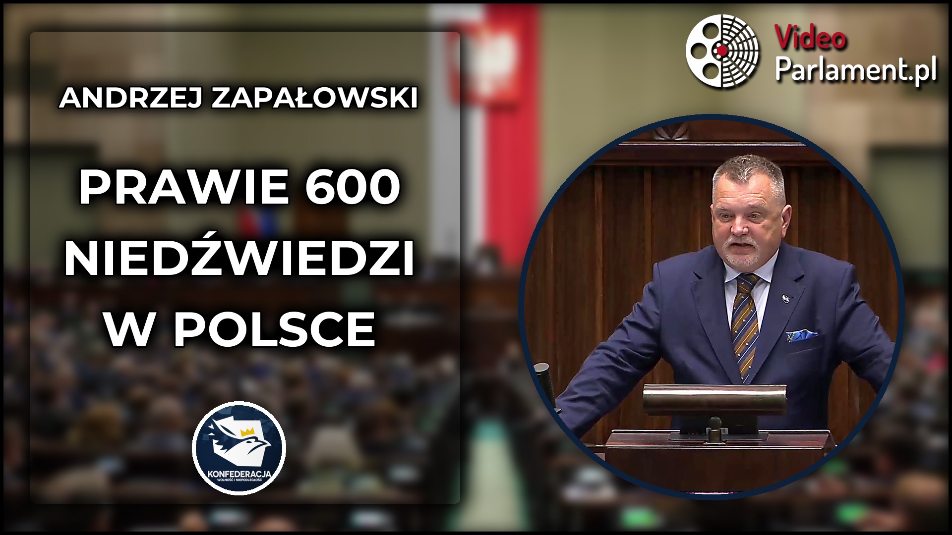 Andrzej Zapałowski: W Polsce może żyć prawie 600 niedźwiedzi