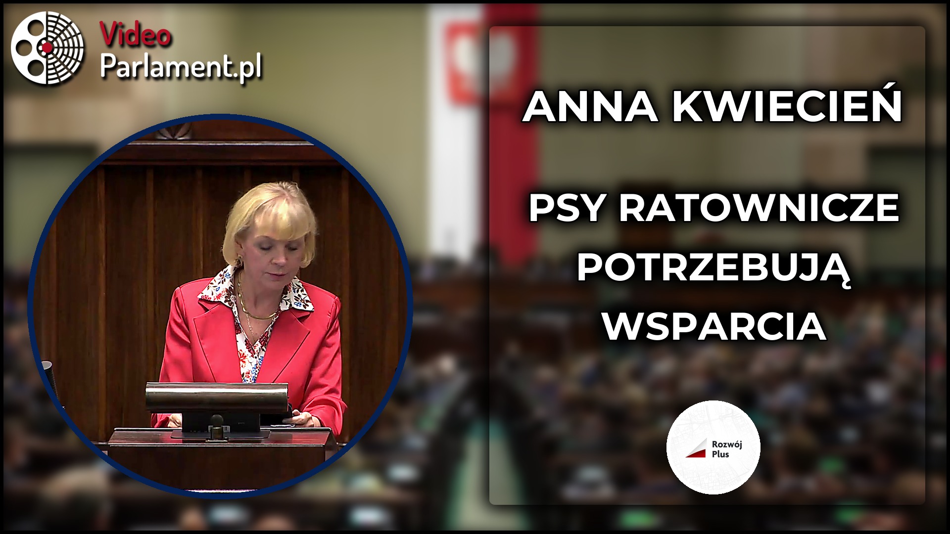 Anna Kwiecień pyta o finansowanie psów ratowniczych
