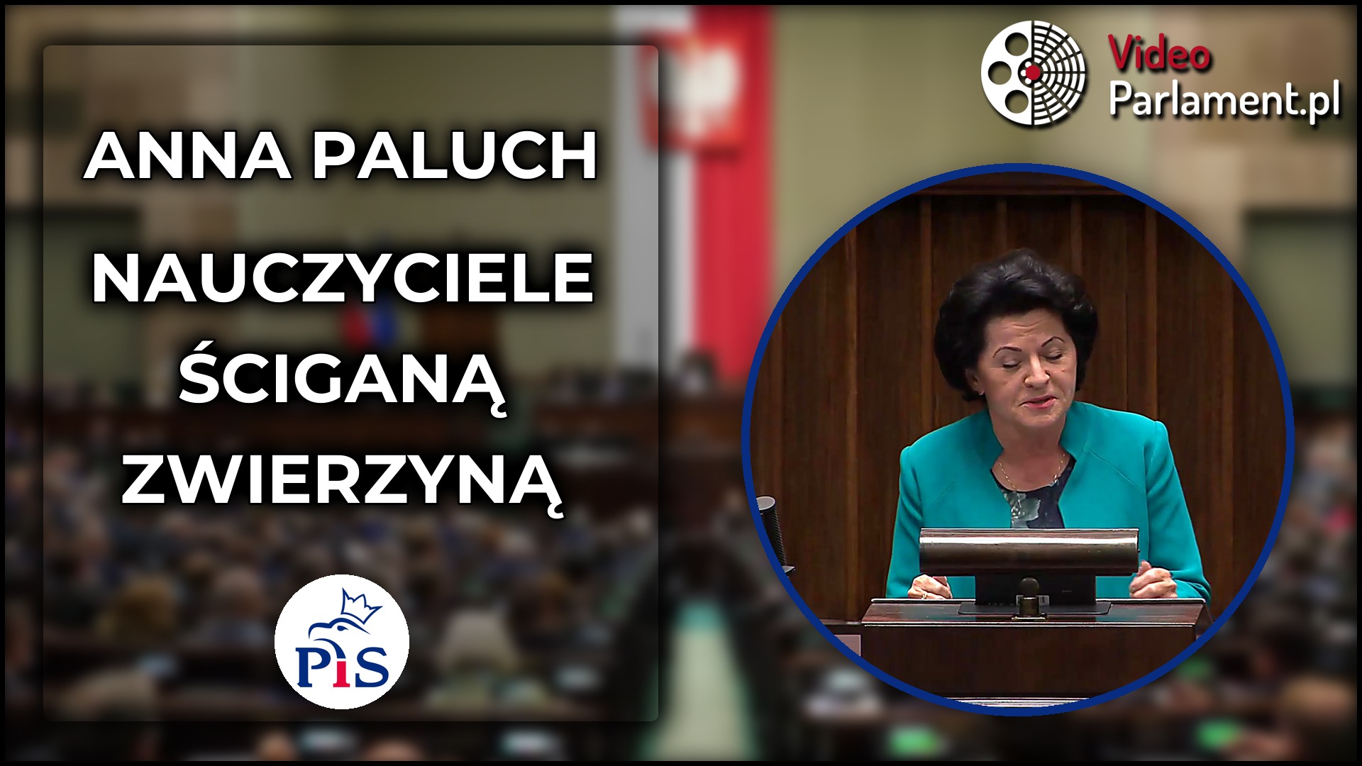 Anna Paluch: Nauczyciele 'ściganą zwierzyną' - 34% wzrost