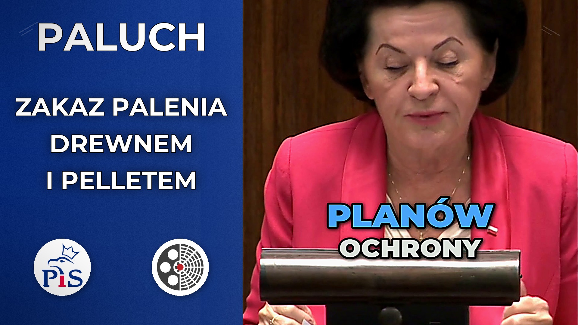 Anna Paluch pyta o zakaz palenia drewnem i pelletem