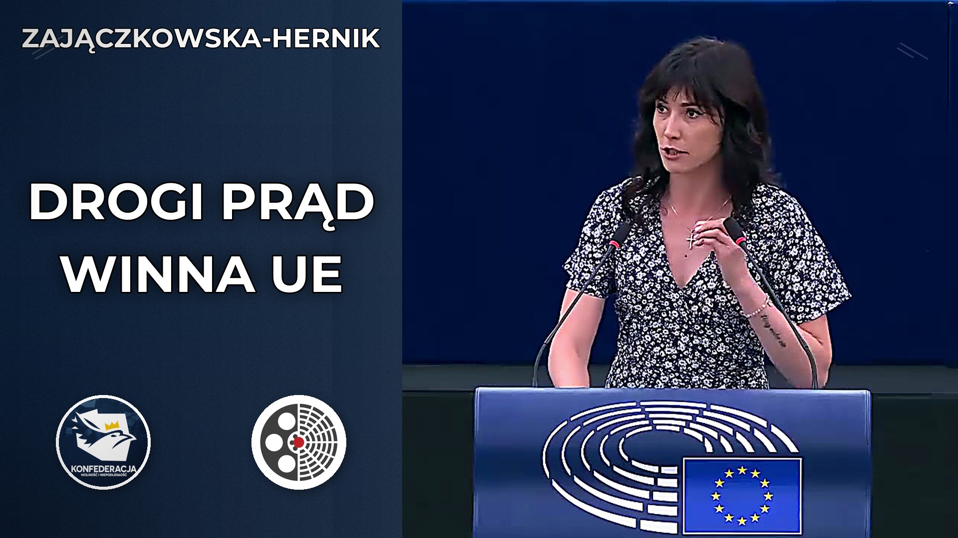 Ewa Zajączkowska-Hernik ostro o planie elektryfikacji UE