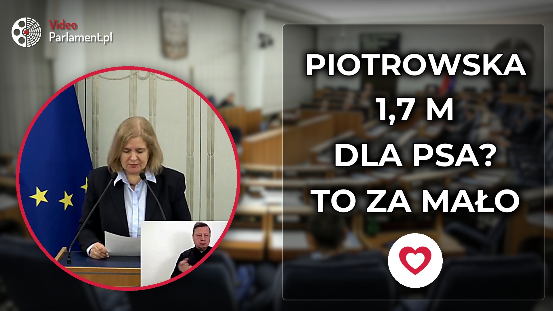 Jolanta Piotrowska pyta o standardy w schroniskach