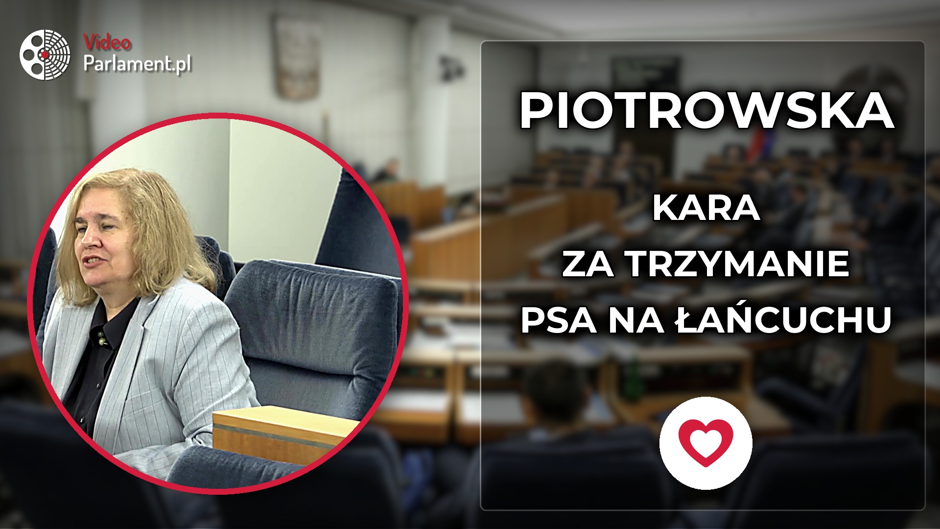 Jolanta Piotrowska - Pytanie o sankcje dla właścicieli psów