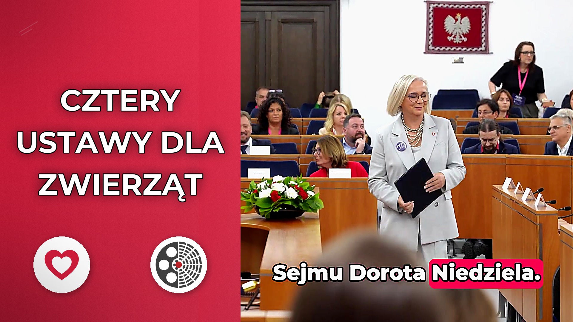 Koalicja Obywatelska podsumowuje zmiany w ochronie zwierząt