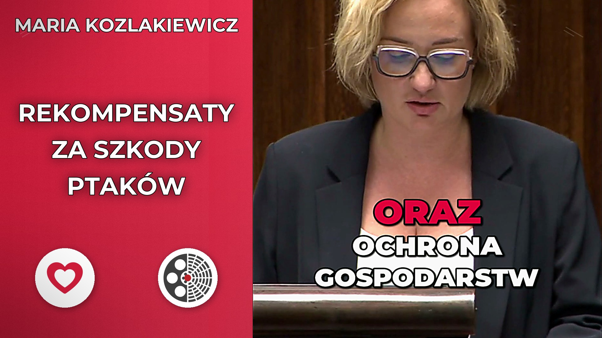 Maria Koźlakiewicz o rekompensatach za szkody wyrządzone przez ptaki