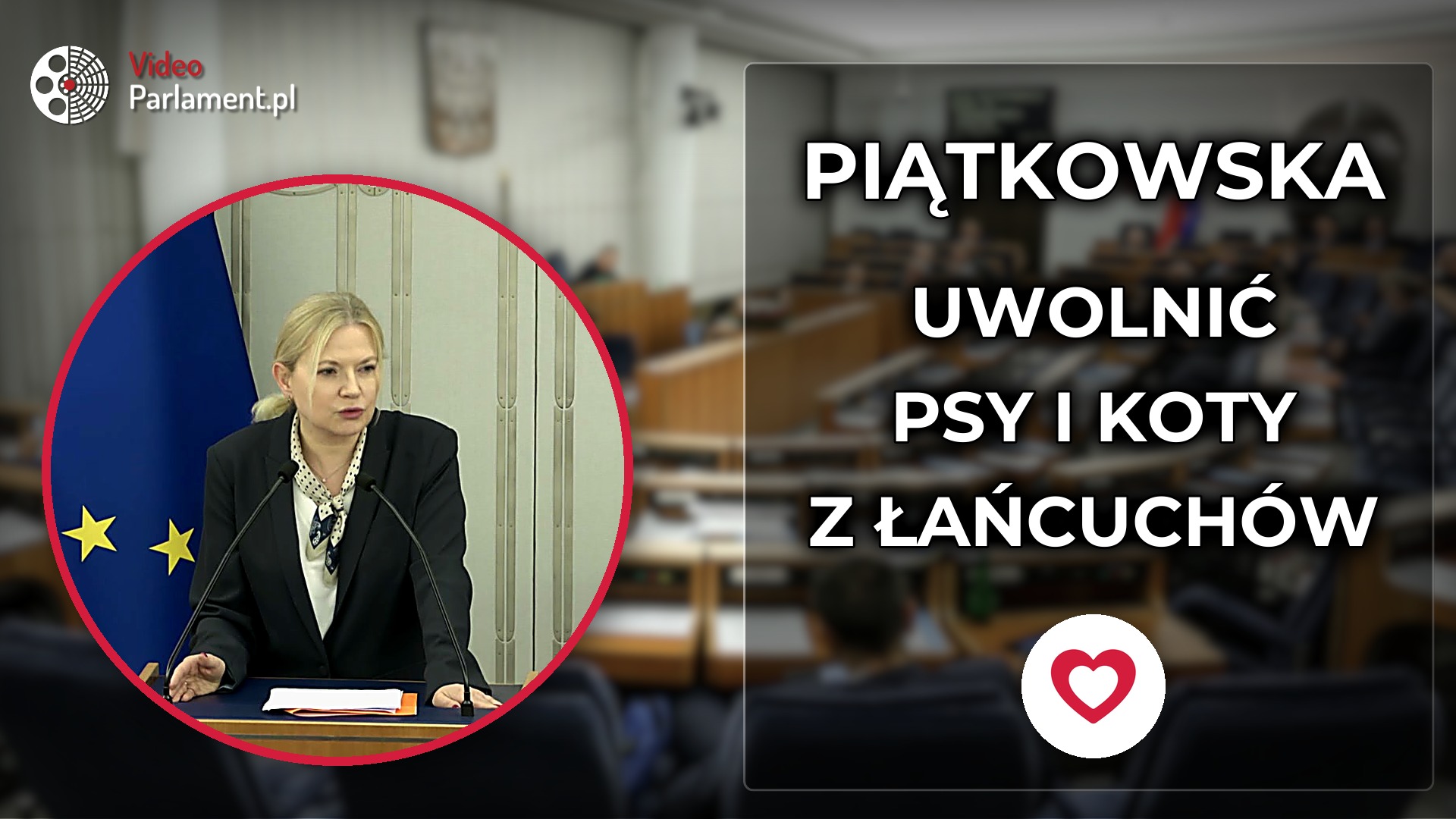 Monika Piątkowska - Poprawki ws. ochrony zwierząt w Senacie