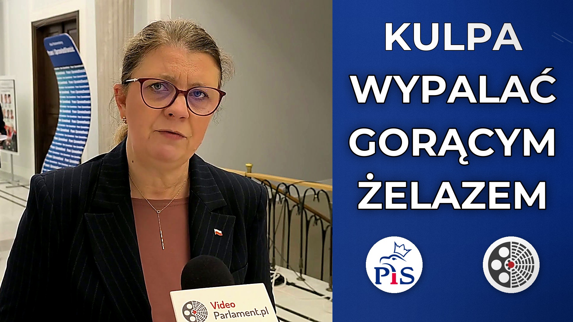 Wioletta Kulpa: Patostreaming trzeba wypalać żelazem